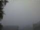 Beatenberg 03.07.2025 05:46