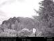 North Bend, Washington 25.03.2025 05:54