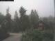 Stocka 09.07.2025 05:54