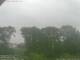 Steinbach 25.05.2025 05:54
