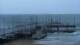 Gdansk 10.07.2025 05:54