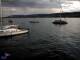 Thalwil 12.05.2025 05:46