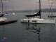 Thalwil 03.07.2025 05:46