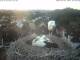 Bad Waldsee 02.07.2025 05:46