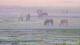 Juist 11.07.2025 05:57