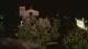 Farmers Branch, Texas 15.06.2025 05:11