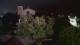 Farmers Branch, Texas 30.04.2025 05:11