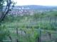 Feuerbach 23.04.2025 05:58