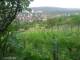 Feuerbach 14.06.2025 05:58