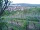 Feuerbach 11.05.2025 05:58