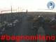 Cesenatico 30.04.2025 05:47