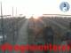 Cesenatico 10.06.2025 05:47