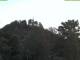 Parkstein 30.04.2025 05:58