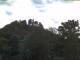 Parkstein 01.05.2025 05:58