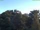 Parkstein 11.05.2025 05:58