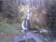 Triberg im Schwarzwald 11.07.2025 05:47