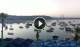 Marsaxlokk 05.07.2025 05:58