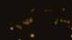 San Antonio, Texas 30.04.2025 05:13