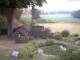 Schneverdingen 09.07.2025 05:47