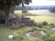 Schneverdingen 09.06.2025 05:47