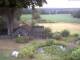 Schneverdingen 15.07.2025 05:48