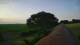 Schwinge 14.06.2025 05:58