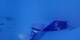 Gemmipass 30.04.2025 05:51