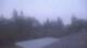 Medina, Washington 04.08.2026 05:16