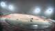 Plano, Texas 30.04.2025 05:17