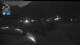 Flattach 30.04.2025 05:02