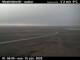 Mosfellsheiði 14.06.2025 05:03