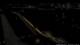 Kehl 30.04.2025 05:04