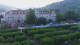Bad Brückenau 29.05.2025 05:04