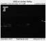Jordan Valley, Oregon 04.12.2025 05:15