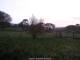 Dartmoor 30.04.2025 05:47