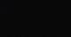 Checrouit 05.07.2025 05:09
