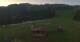 Rohrberg 09.06.2025 05:10