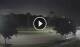 Reunion, Florida 03.07.2025 05:10