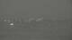 Alvor (Algarve) 14.06.2025 05:28