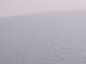 AIDAbella 30.04.2025 05:12