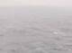 AIDAbella 24.06.2025 05:11