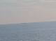 AIDAmar 15.06.2025 05:11