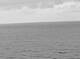 AIDAmar 10.07.2025 05:11