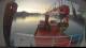 Minik Arctica 01.07.2025 05:12