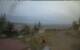 Walton 06.07.2025 05:08