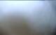 Iona 09.05.2025 05:27