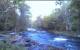 Caledonia 15.06.2025 05:31