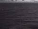 Costa Diadema 30.04.2025 05:14
