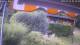 Bad Harzburg 14.07.2025 05:49