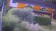 Bad Harzburg 04.07.2025 05:48